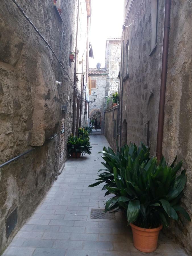 La Piazzetta Apartamento Bolsena Exterior foto